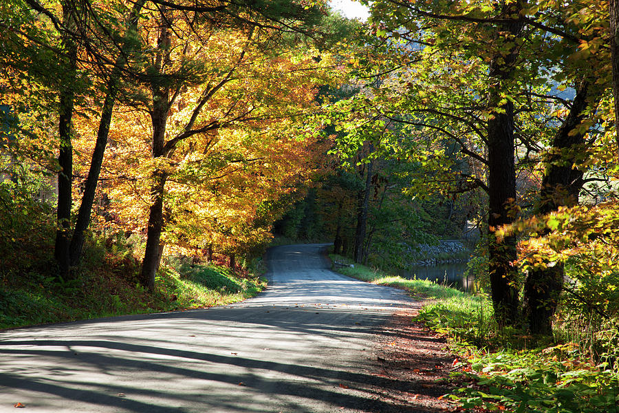 Country Dirt Road In Autumn  Woodstock Photograph by Jenna Szerlag