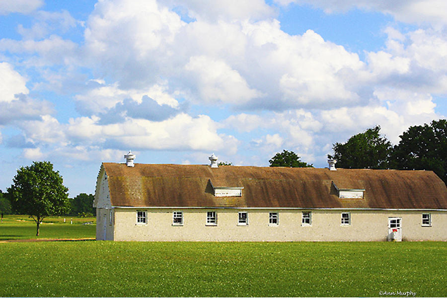 Country Barn Dreaming Photograph by Ann Murphy