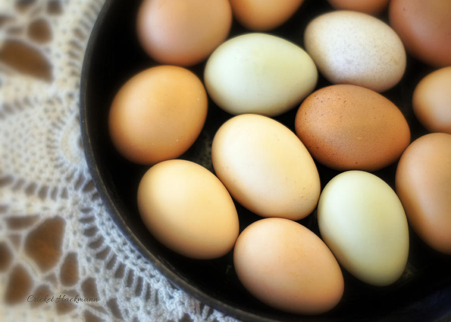 Egg Photograph - Country Egg Skillet by Cricket Hackmann