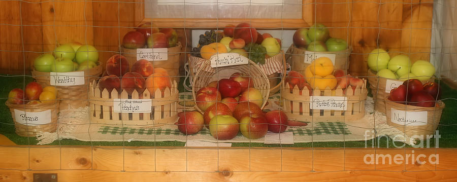 Country Fair Fruit Display Photograph by Smilin Eyes Treasures