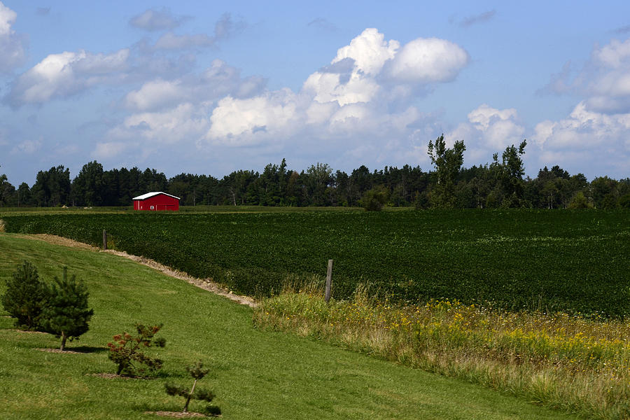 Summer Photograph - Country Farm by Misty Johnson