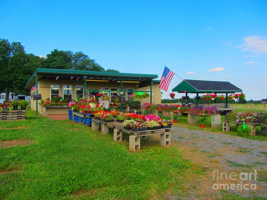 Country Farm Stand Photograph by Susan Carella