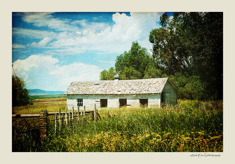Country Farmhouse Photograph by Linda Olsen
