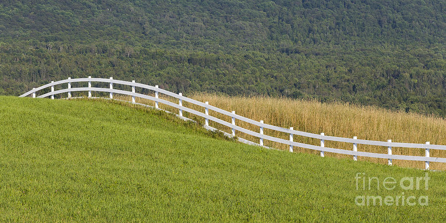 Country Fence Photograph by Alan L Graham