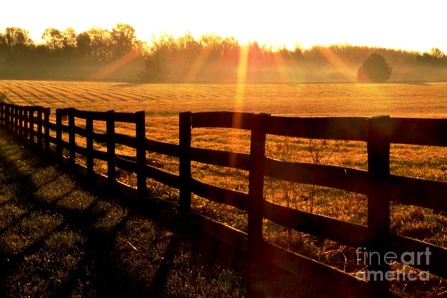 Country Fence Photograph by Carlee Ojeda