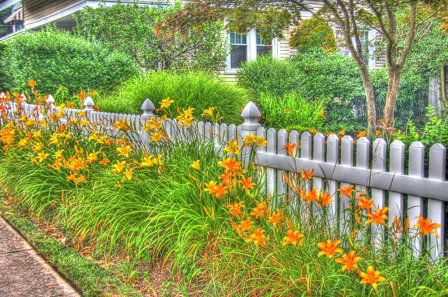 Country Fence Photograph by John Handfield