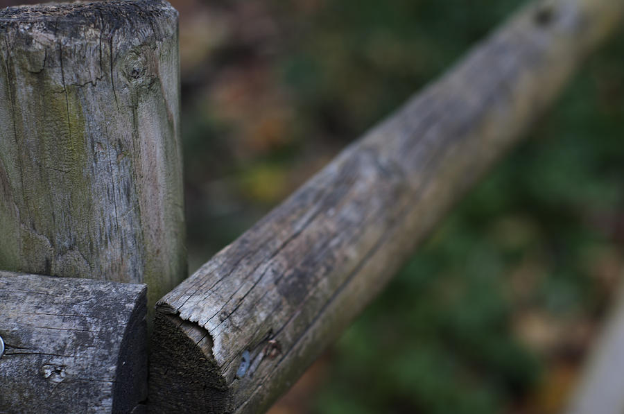 Country Fence Photograph by Miguel Winterpacht