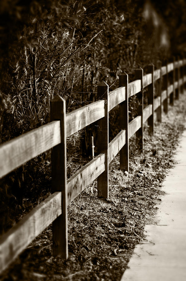 Country Fence Sepia Photograph by Kathleen Messmer
