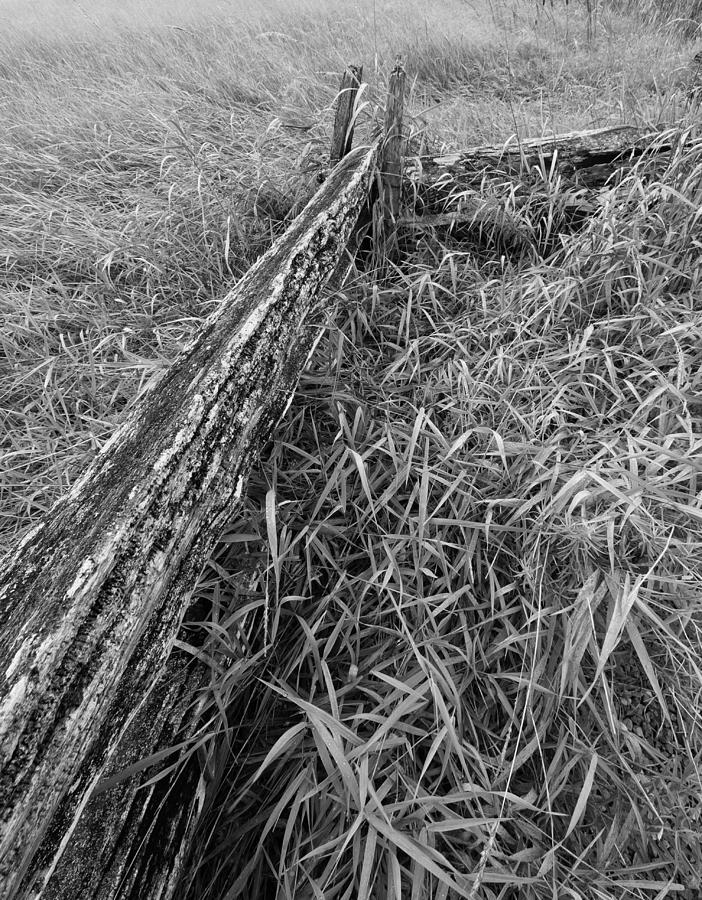 Country Fence by Stan Wojtaszek Country Fence by Stan Wojtaszek