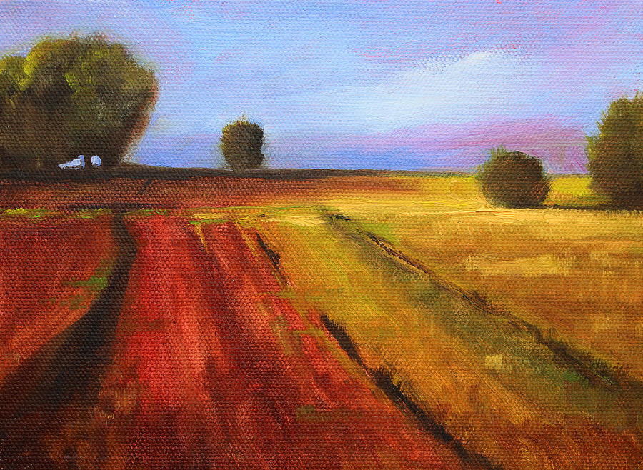 Spring Painting - Country Fields Landscape by Nancy Merkle