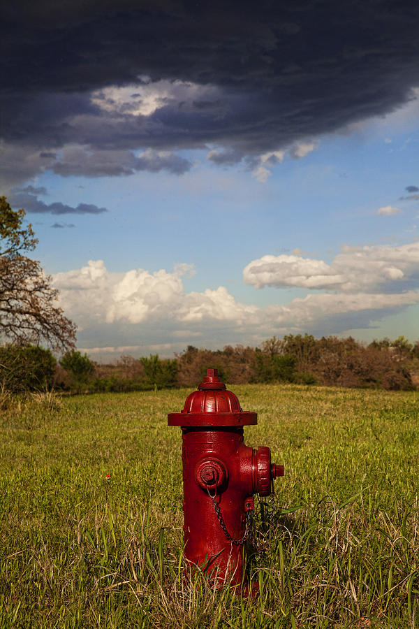 Landscape Photograph - Country Fire Hydrant by Toni Hopper