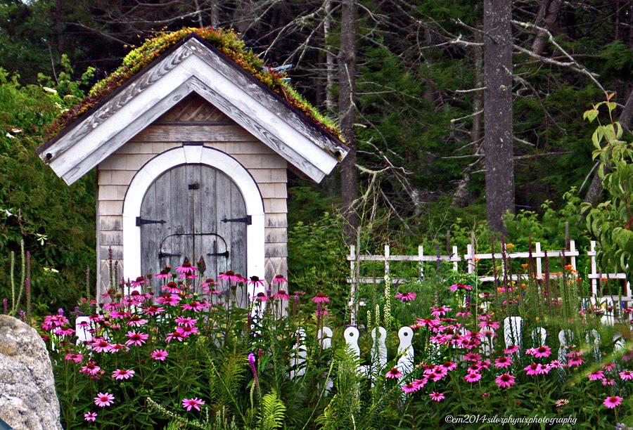 Country Flower Shed Photograph