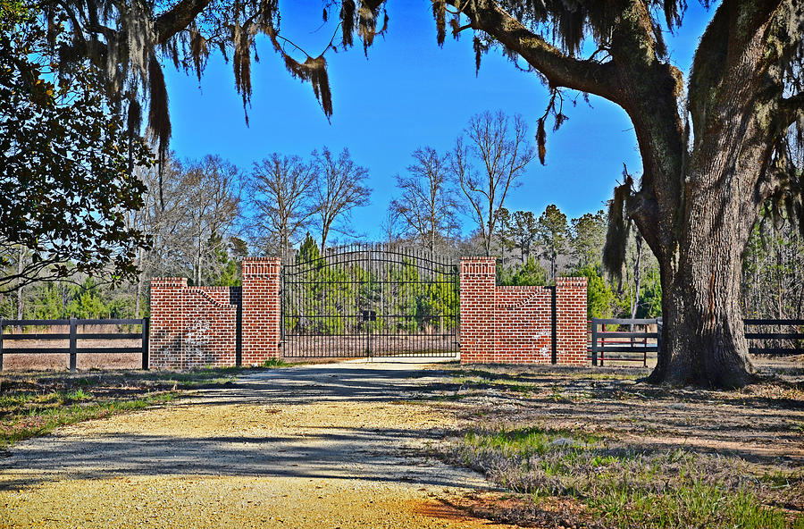Country Gate Photograph by Linda Brown