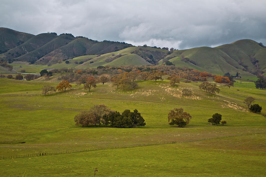 Country Gilroy Photograph by SC Heffner