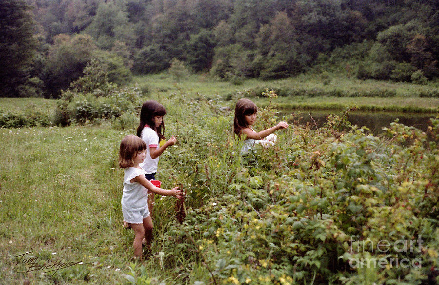 Country Girls Picking Wild Berries Photograph by Tom Brickhouse