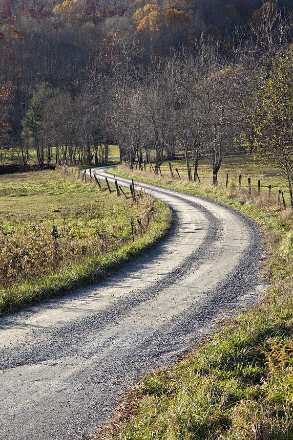 Fall Photograph - Country Gravel Road by Heather Reeder