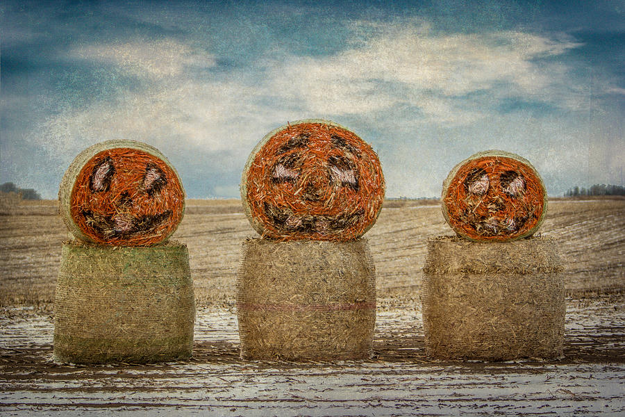 Country Halloween Photograph by Patti Deters