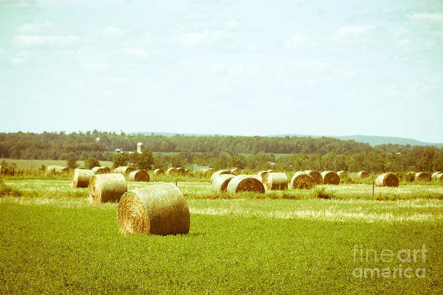 Country Hay Photograph by Cheryl Baxter