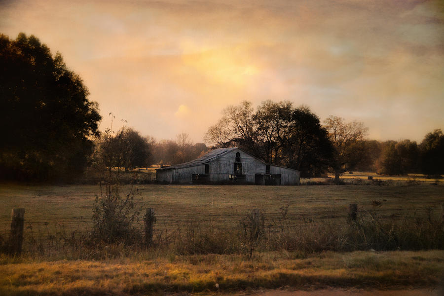 Country Heirloom Photograph by Jai Johnson