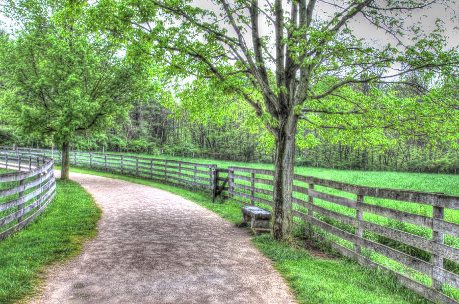 Country Lane at Slate Run by Elaine Farrington Johnson Country Lane at Slate Run by Elaine Farrington Johnson
