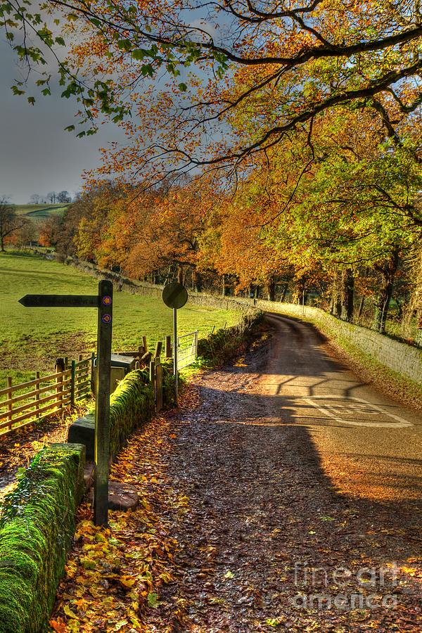 Country Lane in Autumn Photograph by David Birchall