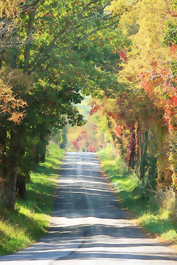 Country Lane in Autumn Photograph by Jewels Hamrick