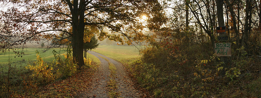 Country Lane In The Ozarks Photograph