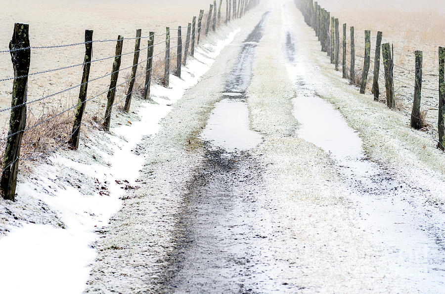 Country Lane In Winter Photograph