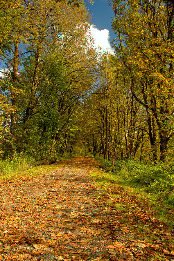 Fall Photograph - Country Lane by Marv Russell