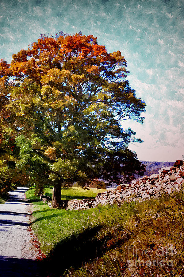 Country Lane Painting by Shari Nees