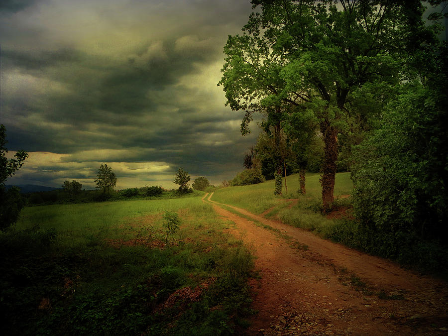 Country Lanes Photograph by Dima Lauzzana