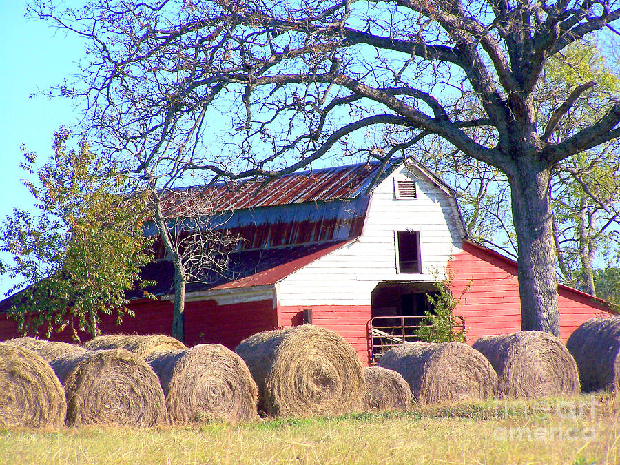 Landscape Photograph - Country Life by Kathy  White