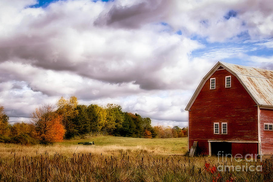 Country Living Photograph by Brenda Giasson