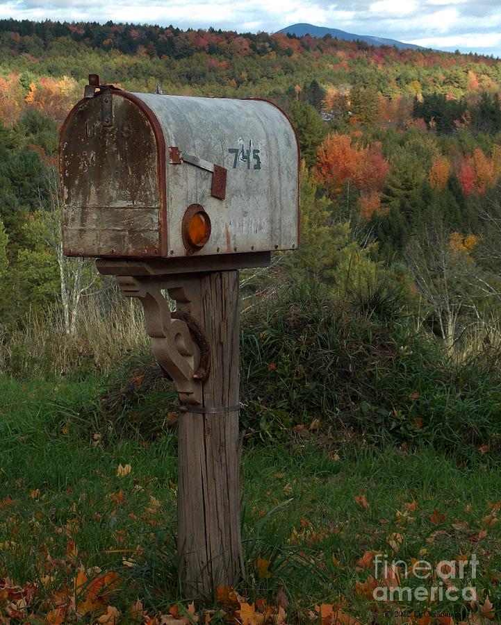 Country Mail Box Photograph by Donna Cavanaugh - Fine Art America