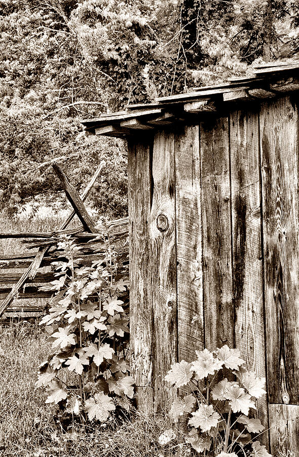 Country Outhouse Photograph by Paul W Faust -  Impressions of Light