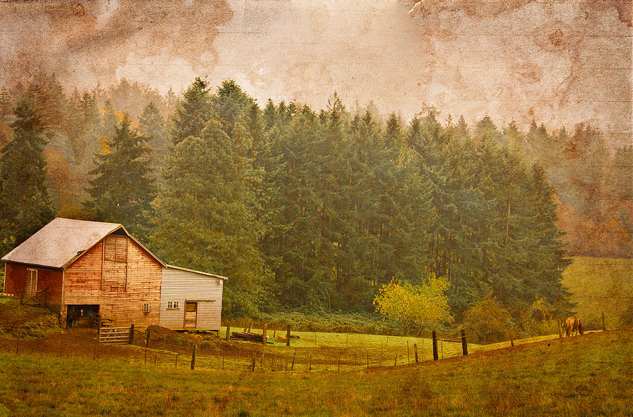 Country Pasture Photograph by Larry Goss