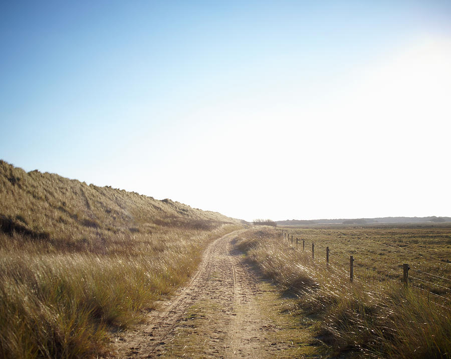 Country Path Behind Dunes On The Uk Photograph by Dougal Waters