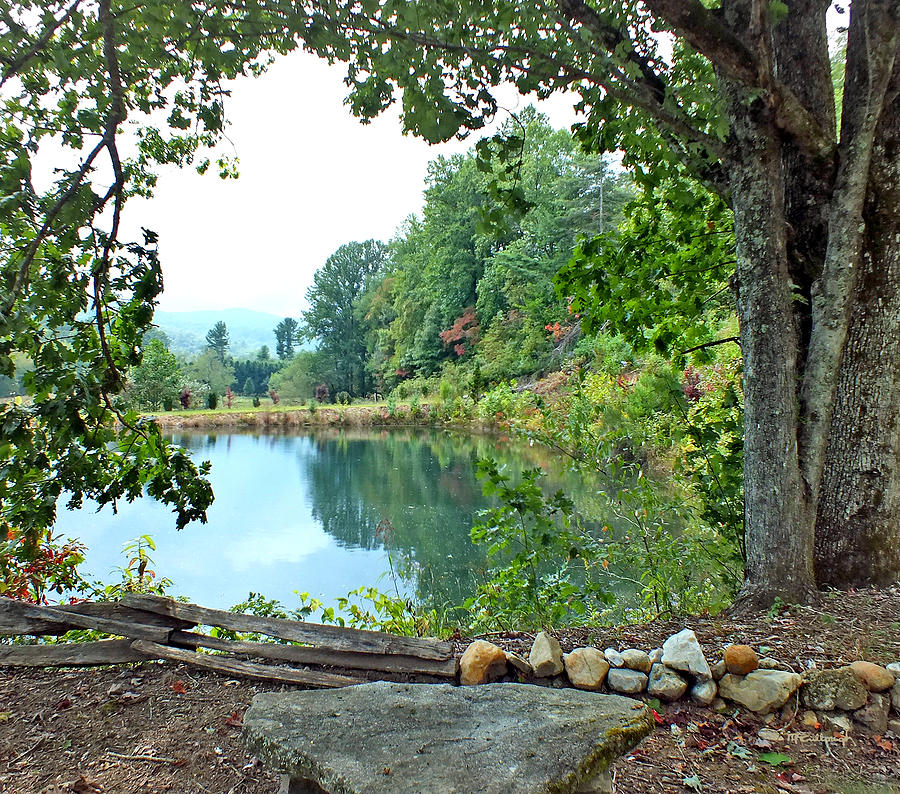 Country Pond Photograph by Duane McCullough