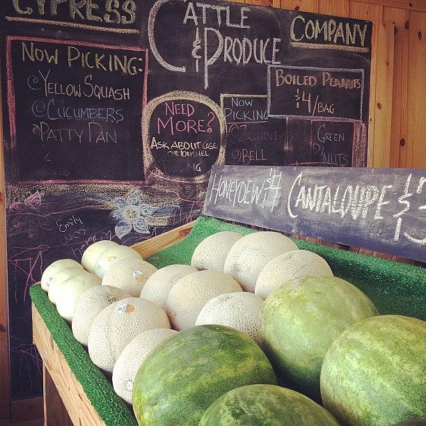 Organic Photograph - Country Produce Store. Got Some #local by Brooklyn Cole