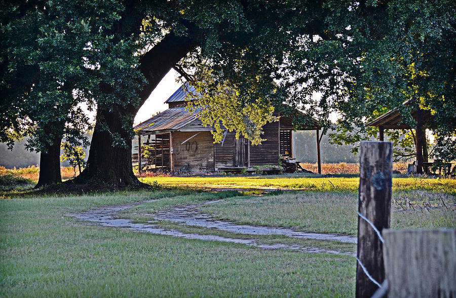Country Quiet Photograph by Linda Brown