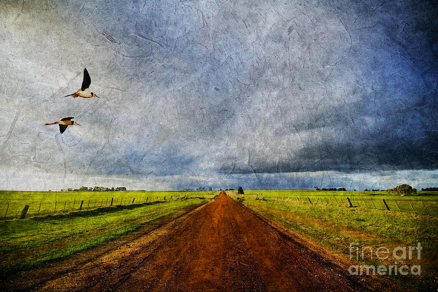 Winter Photograph - Country road and birds in old style by THP Creative