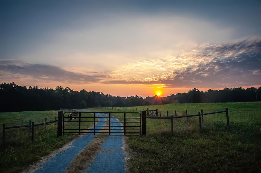 Country Road At Sunrise Photograph by Alex Grichenko