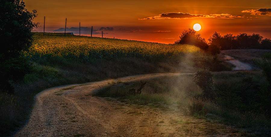 Sunset Photograph - Country road by Dobromir Dobrinov