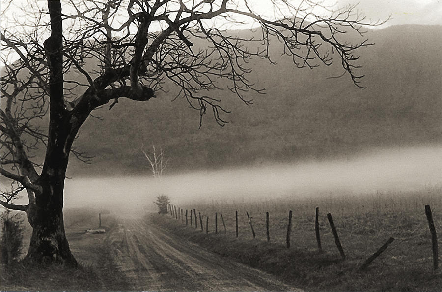 Country Road Photograph by Elvira Butler
