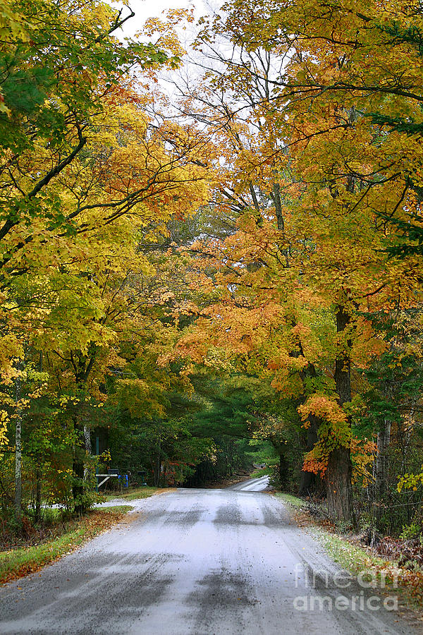 Country Road Fall Vermont Photograph by Deborah Benoit