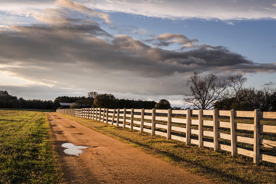 Country Road in Alabama Photograph by Carol M Highsmith