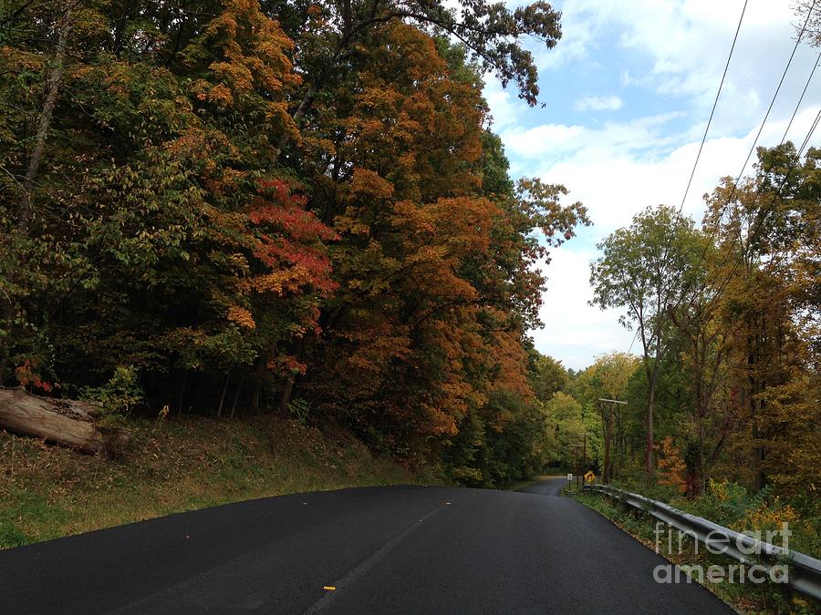 Country Road in Autumn Photograph by Cornelia DeDona