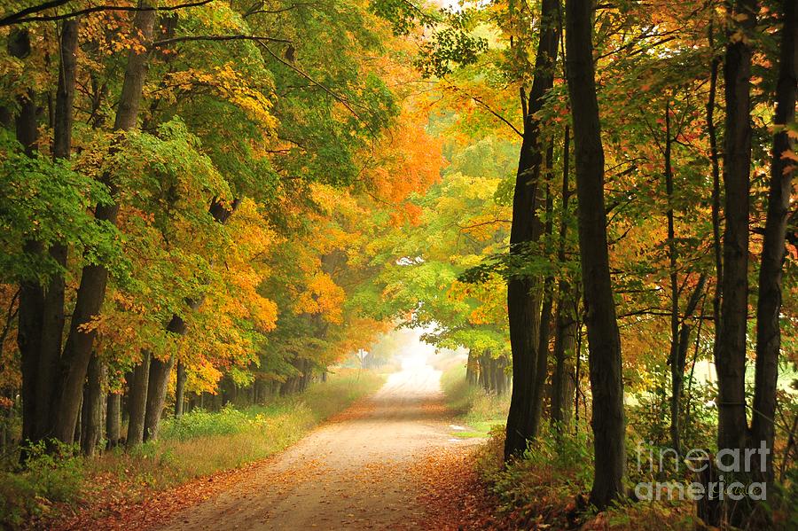 Country Road In Autumn Photograph