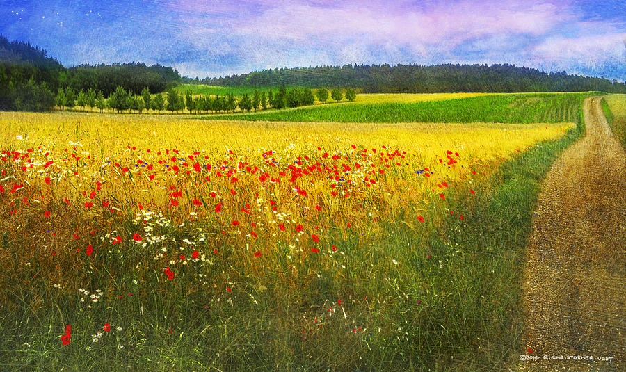 Flower Painting - Country Road In Germany Near Bamberg by R christopher Vest