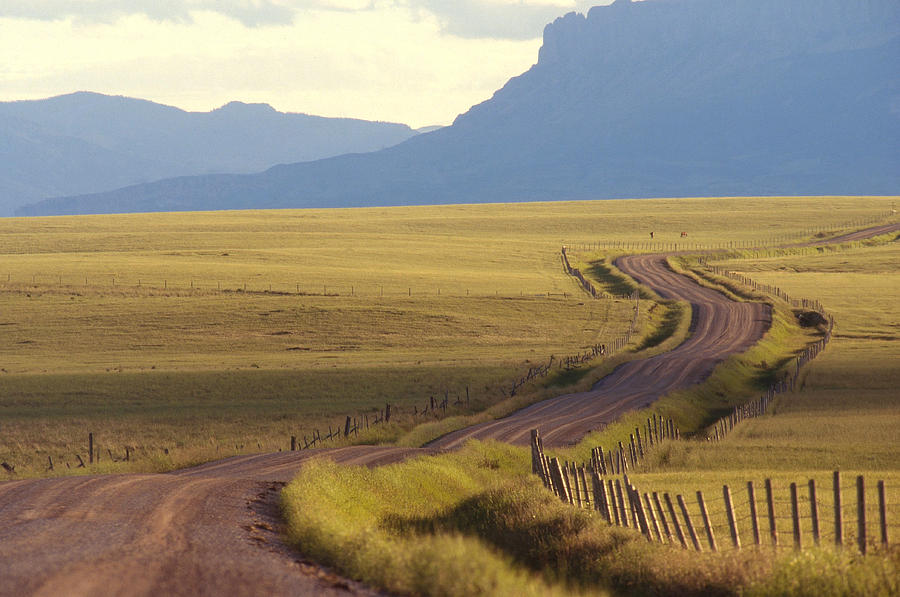 Country Road In Montana Photograph by Brenda Tharp